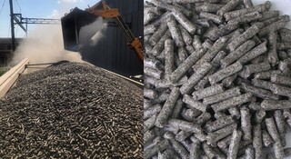 Terminal Novorossiysk Sugar beet pulp (sale)