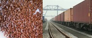 Flax seeds CIF Tianjin China